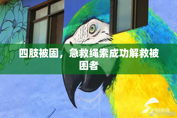 四肢被固，急救绳索成功解救被困者