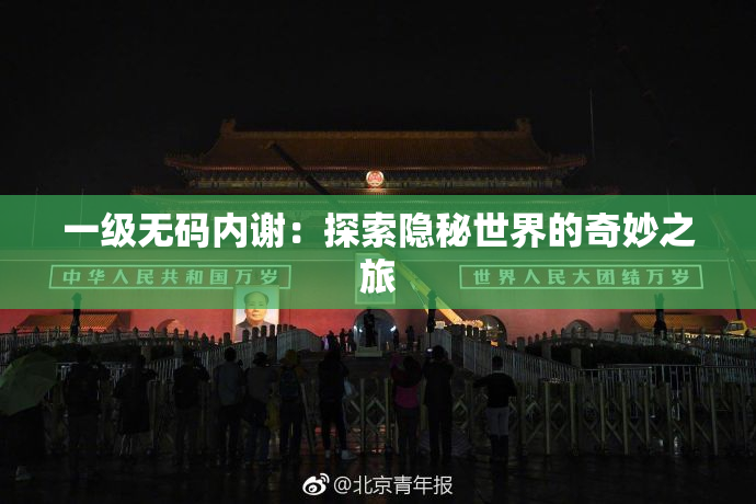 一级无码内谢：探索隐秘世界的奇妙之旅