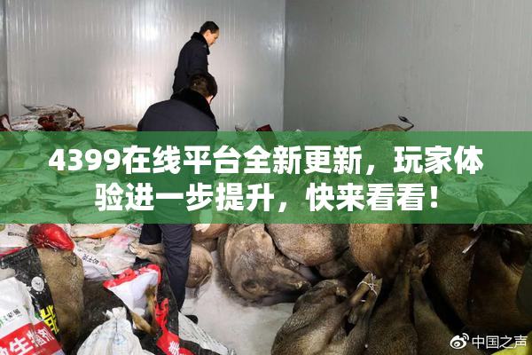 4399在线平台全新更新，玩家体验进一步提升，快来看看！