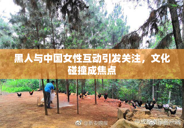 黑人与中国女性互动引发关注，文化碰撞成焦点