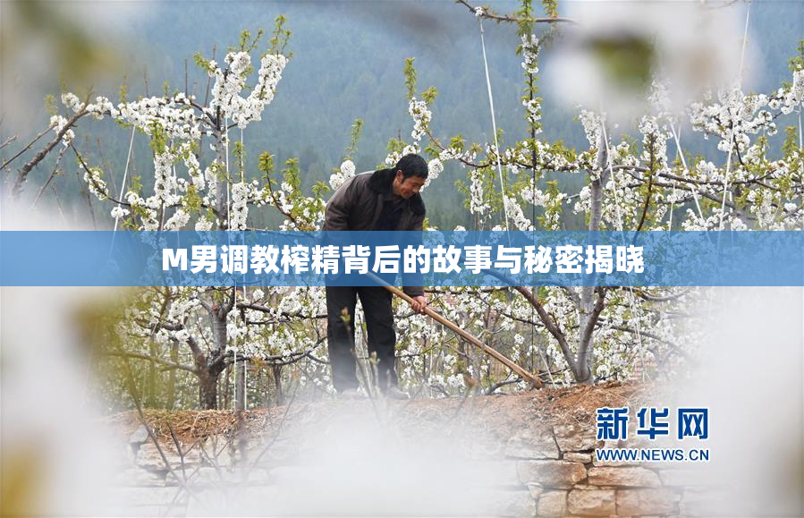 M男调教榨精背后的故事与秘密揭晓