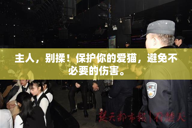 主人，别揉！保护你的爱猫，避免不必要的伤害。