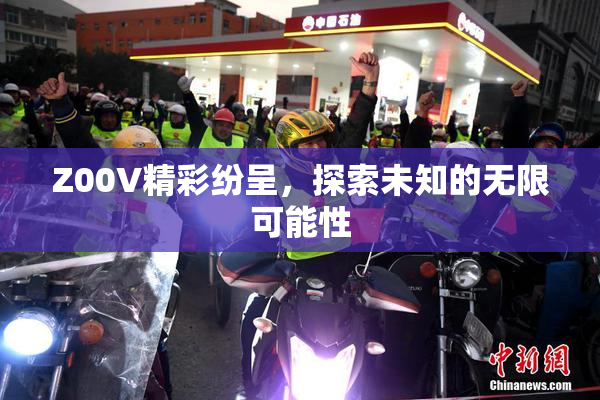 Z00V精彩纷呈，探索未知的无限可能性