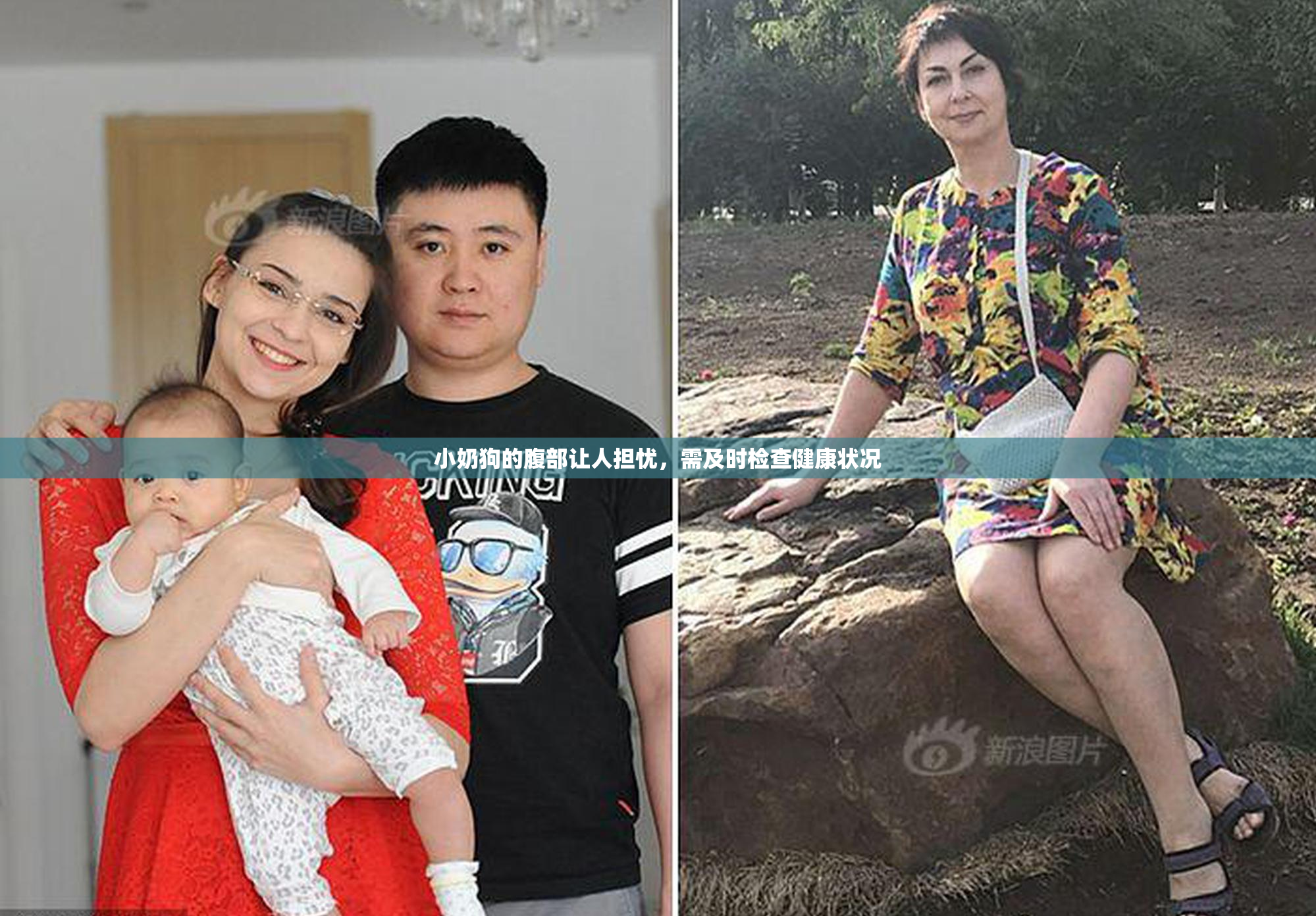 小奶狗的腹部让人担忧，需及时检查健康状况