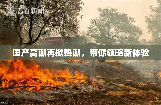 国产高潮再掀热潮，带你领略新体验