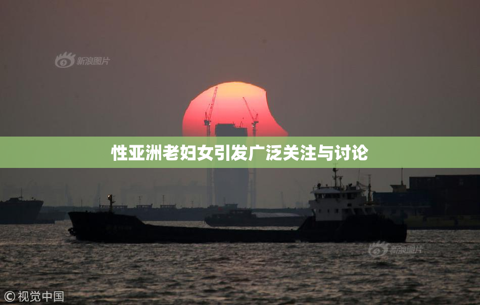 性亚洲老妇女引发广泛关注与讨论