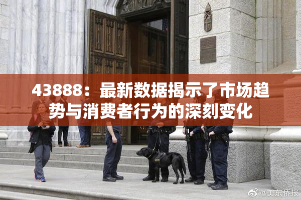43888：最新数据揭示了市场趋势与消费者行为的深刻变化