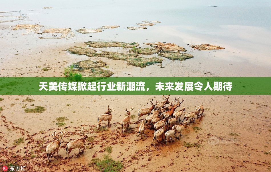 天美传媒掀起行业新潮流，未来发展令人期待