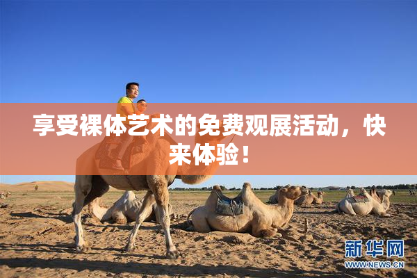 享受裸体艺术的免费观展活动，快来体验！