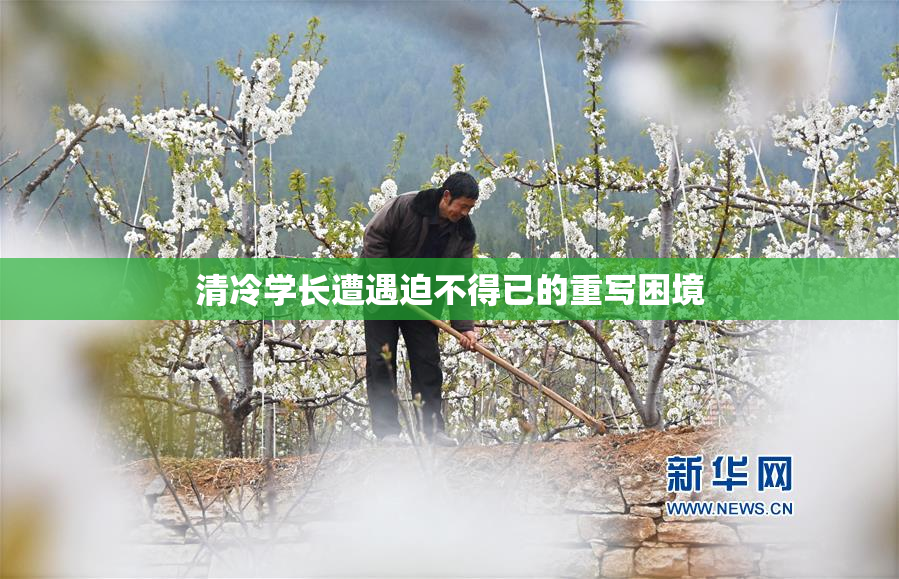 清冷学长遭遇迫不得已的重写困境