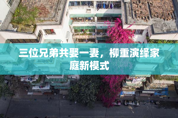 三位兄弟共娶一妻，柳重演绎家庭新模式