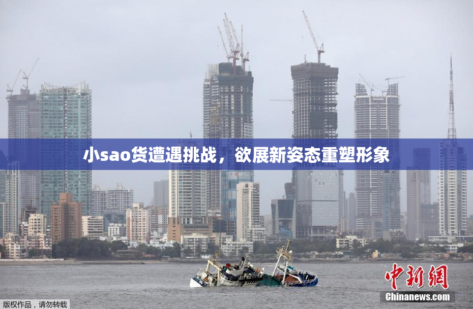 小sao货遭遇挑战，欲展新姿态重塑形象