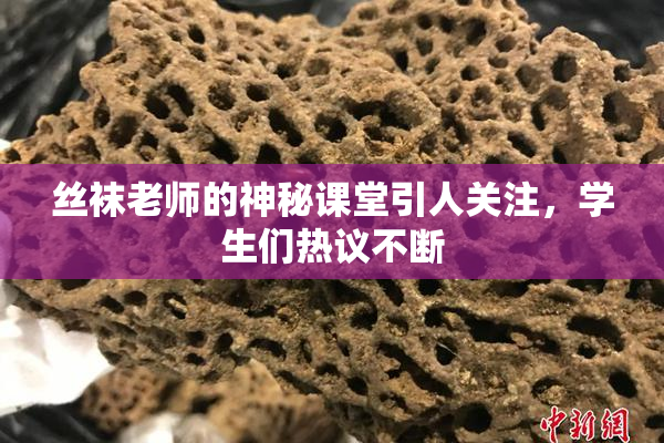 丝袜老师的神秘课堂引人关注，学生们热议不断