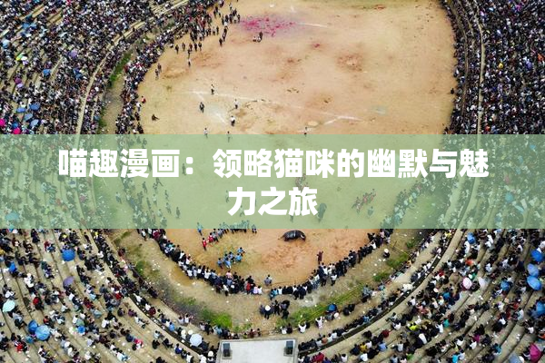 喵趣漫画：领略猫咪的幽默与魅力之旅