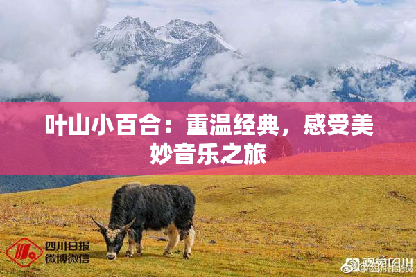 叶山小百合：重温经典，感受美妙音乐之旅