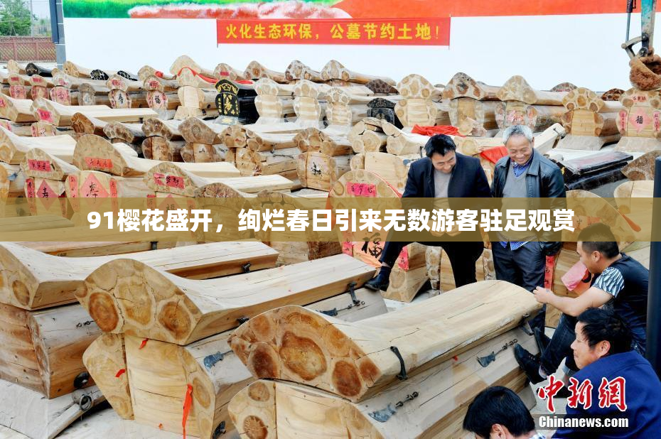 91樱花盛开，绚烂春日引来无数游客驻足观赏