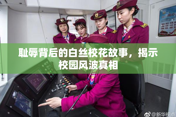 耻辱背后的白丝校花故事，揭示校园风波真相