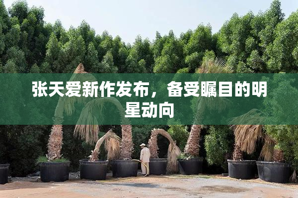张天爱新作发布，备受瞩目的明星动向