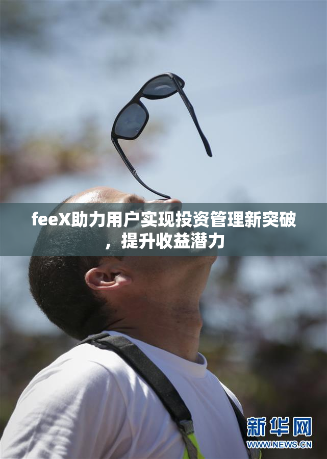 feeX助力用户实现投资管理新突破，提升收益潜力