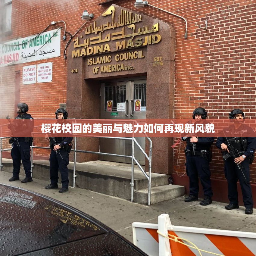 樱花校园的美丽与魅力如何再现新风貌