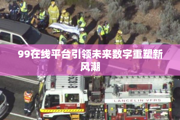 99在线平台引领未来数字重塑新风潮