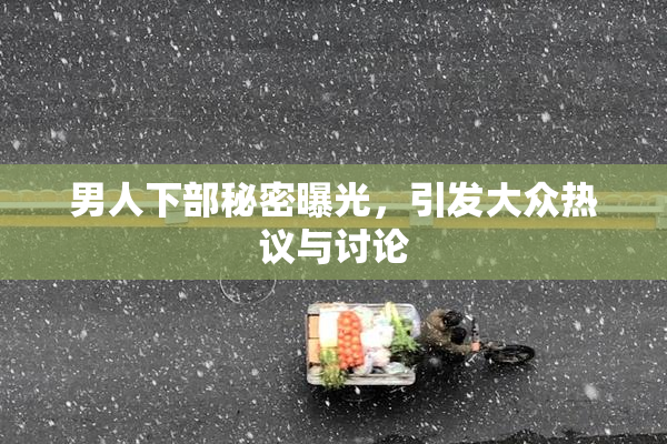 男人下部秘密曝光，引发大众热议与讨论