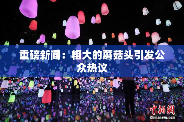 重磅新闻：粗大的蘑菇头引发公众热议