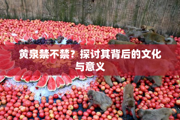 黄泉禁不禁？探讨其背后的文化与意义