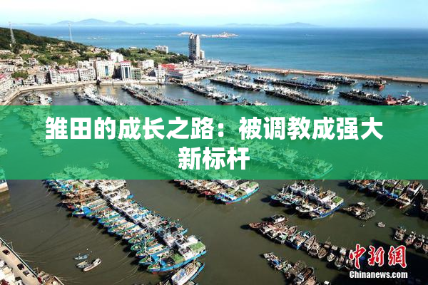 雏田的成长之路：被调教成强大新标杆