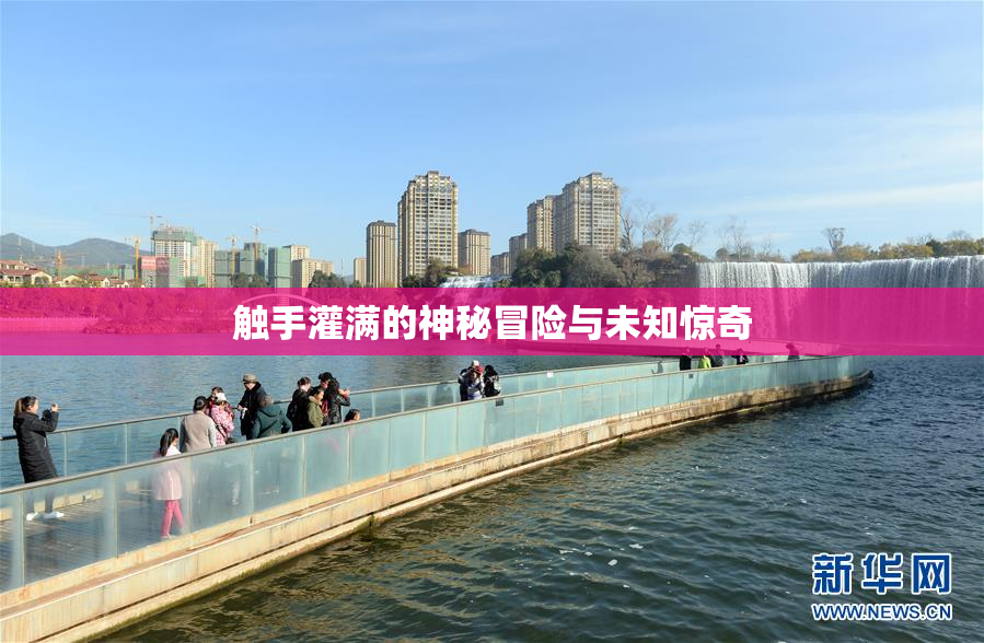 触手灌满的神秘冒险与未知惊奇