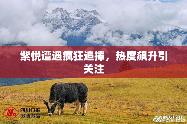 紫悦遭遇疯狂追捧，热度飙升引关注