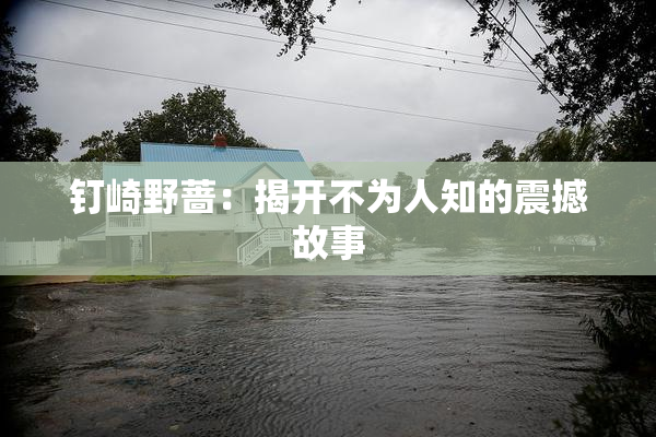 钉崎野蔷：揭开不为人知的震撼故事