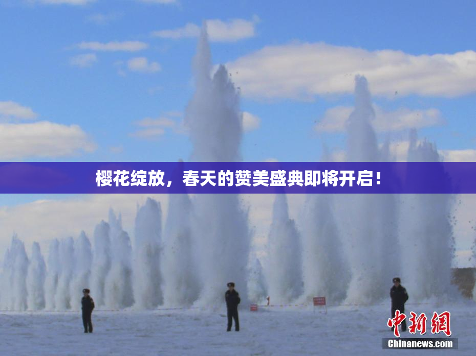 樱花绽放，春天的赞美盛典即将开启！
