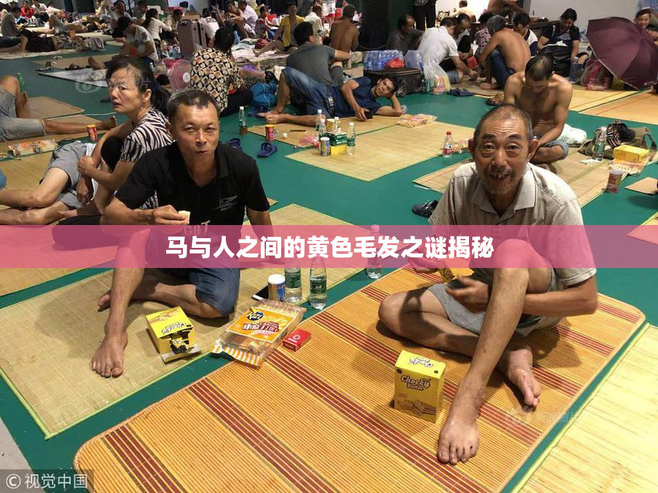 马与人之间的黄色毛发之谜揭秘