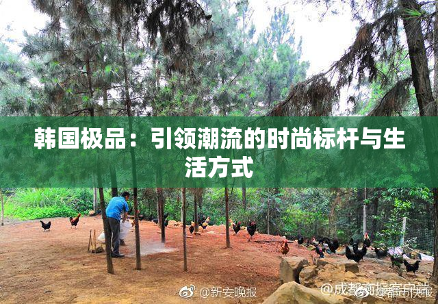 韩国极品：引领潮流的时尚标杆与生活方式
