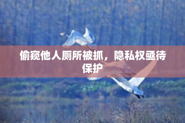 偷窥他人厕所被抓，隐私权亟待保护
