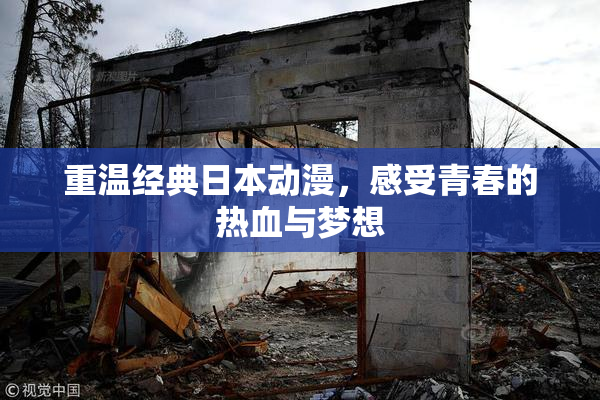 重温经典日本动漫，感受青春的热血与梦想