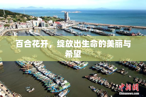百合花开，绽放出生命的美丽与希望