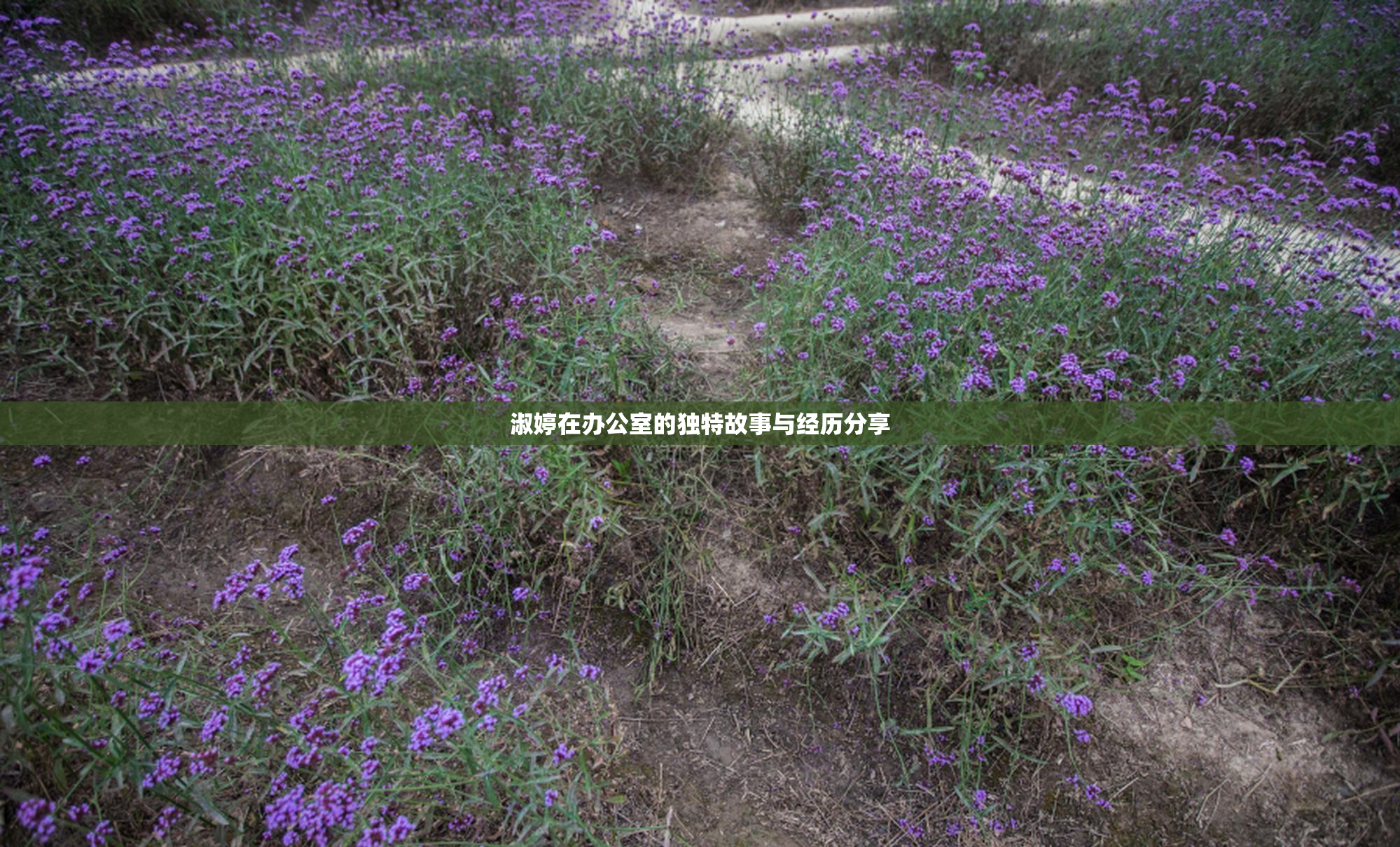 淑婷在办公室的独特故事与经历分享