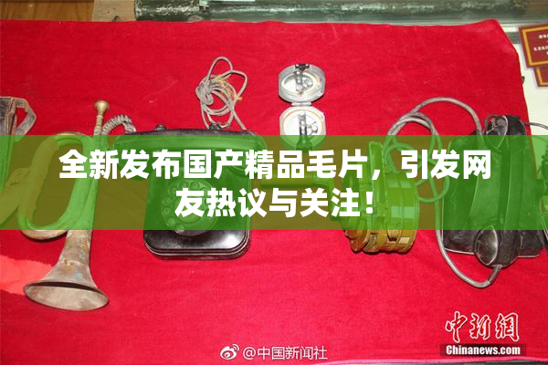 全新发布国产精品毛片，引发网友热议与关注！