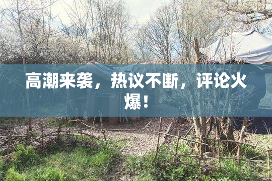高潮来袭，热议不断，评论火爆！