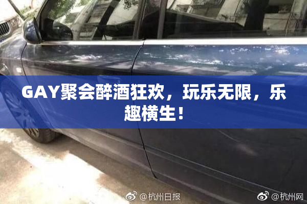 GAY聚会醉酒狂欢，玩乐无限，乐趣横生！