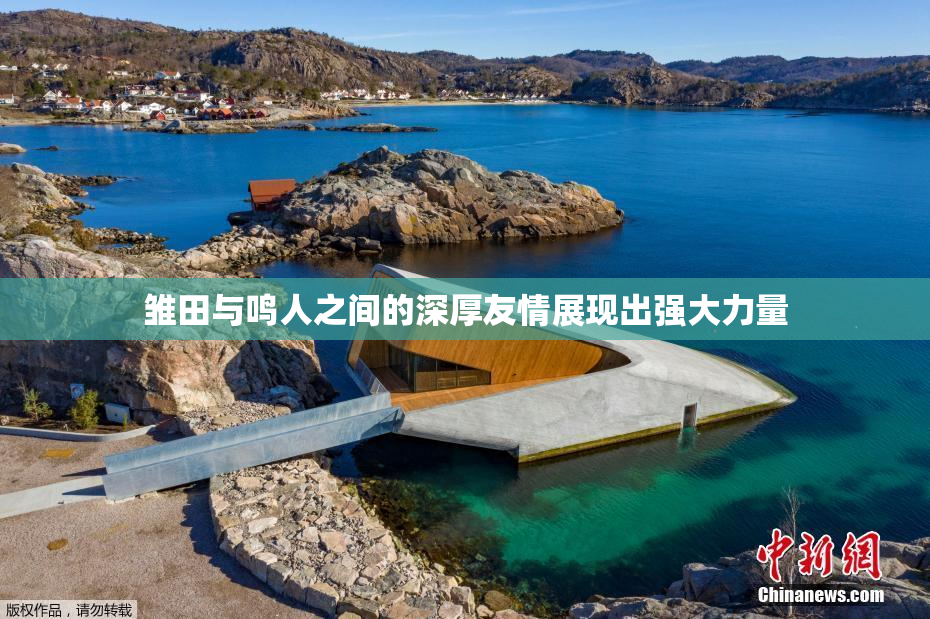 雏田与鸣人之间的深厚友情展现出强大力量