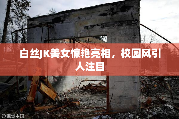 白丝JK美女惊艳亮相，校园风引人注目