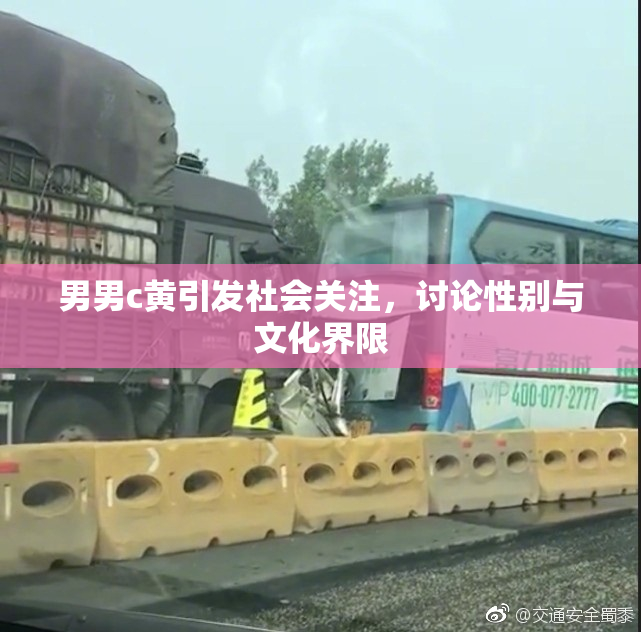 男男c黄引发社会关注，讨论性别与文化界限