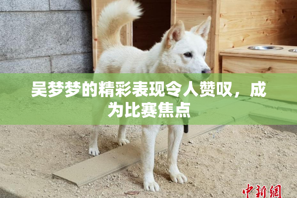 吴梦梦的精彩表现令人赞叹，成为比赛焦点