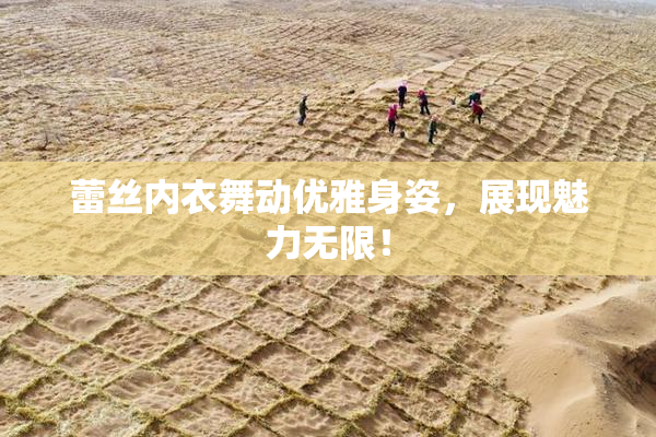 蕾丝内衣舞动优雅身姿，展现魅力无限！
