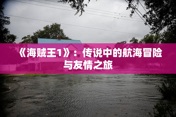 《海贼王1》：传说中的航海冒险与友情之旅