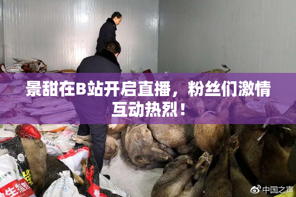 景甜在B站开启直播，粉丝们激情互动热烈！