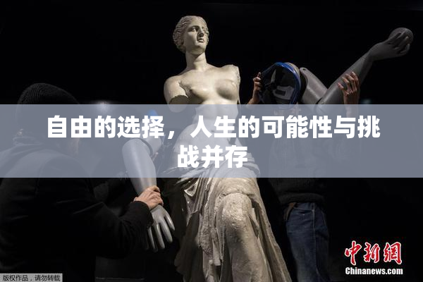 自由的选择，人生的可能性与挑战并存